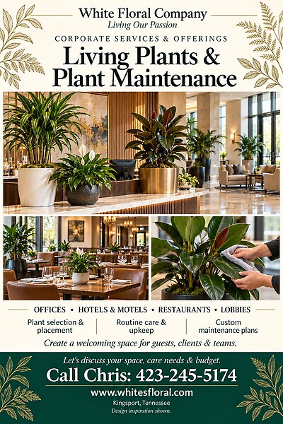LIVING PLANTS AND PLANT MAINTANENCE