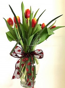 TULIPS FOR HER 1