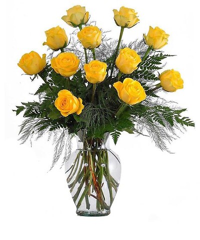 DOZEN YELLOW ROSES