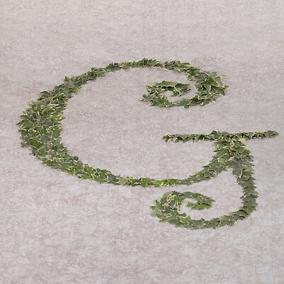 Monogram Aisle Runner