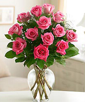 24 PINK ROSES