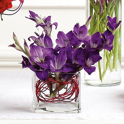 Miniature Gladiolus Arrangement