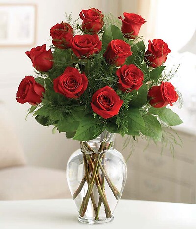 DOZEN RED ROSES